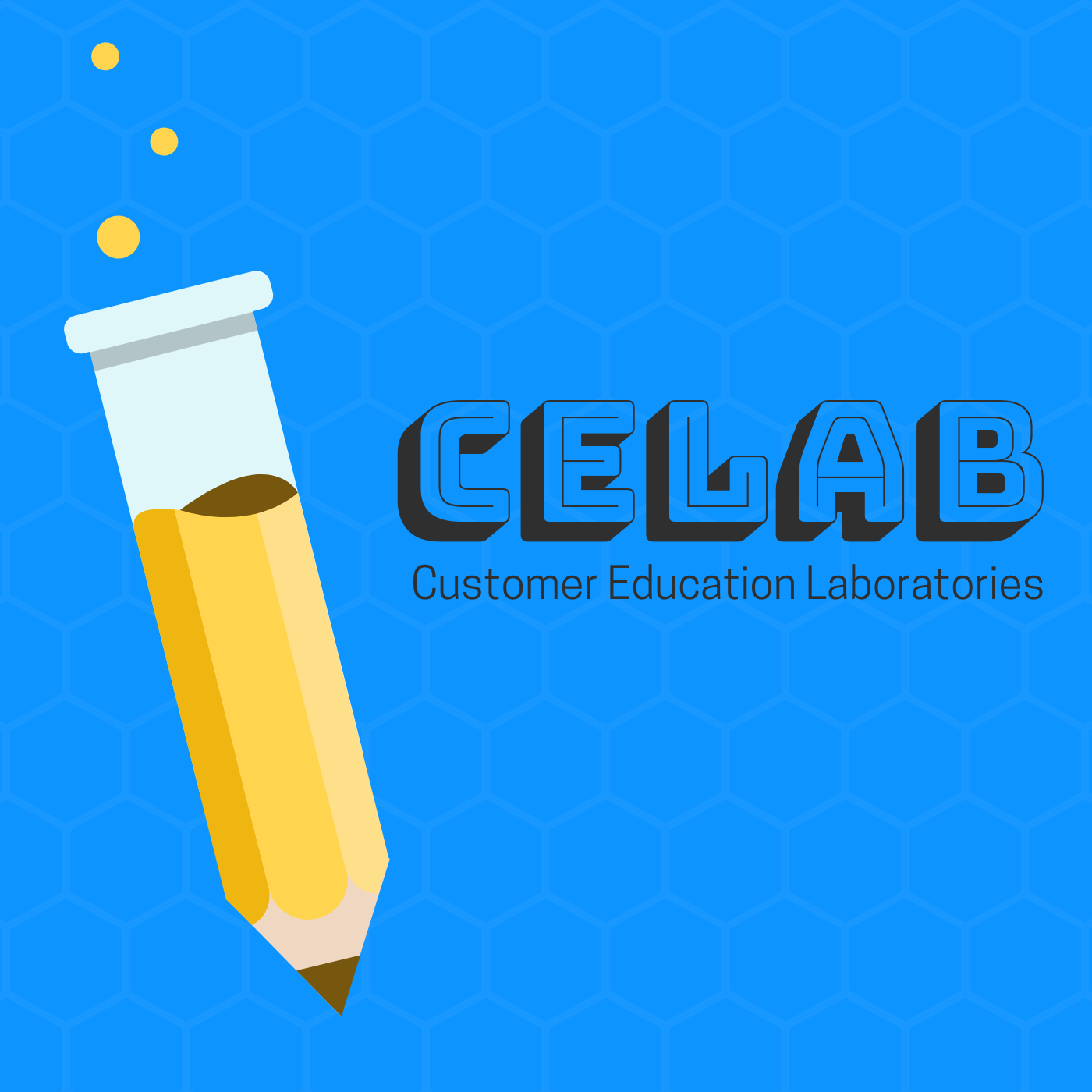 CELab Customer Education CEO Series